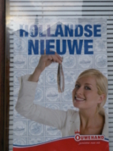 Niederländische Sprichwörter
