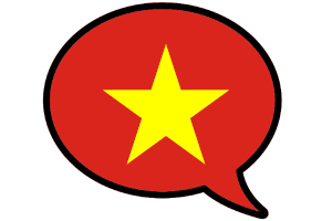 Demoversion für Vietnamesisch testen